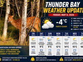 Thunder Bay Weather Update – May 8, 2026: Frosty Start, Windy Warm-Up Thunder Bay Weather Update May 8 2026