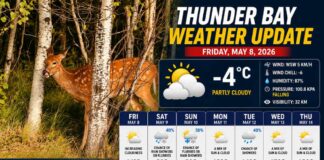 Thunder Bay Weather Update – May 8, 2026: Frosty Start, Windy Warm-Up Thunder Bay Weather Update May 8 2026
