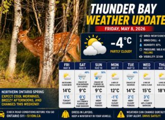 Thunder Bay Weather Update – May 8, 2026: Frosty Start, Windy Warm-Up Thunder Bay Weather Update May 8 2026