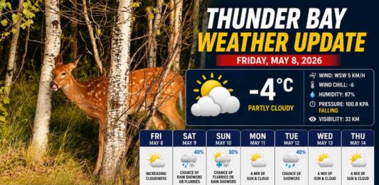 Thunder Bay Weather Update – May 8, 2026: Frosty Start, Windy Warm-Up Thunder Bay Weather Update May 8 2026