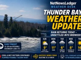 Thunder Bay Weather Update: Rain Returns After a Brief Taste of Spring Sunshine Thunder Bay Weather for May 17 2026