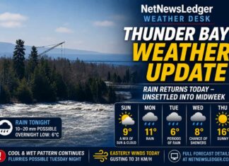 Thunder Bay Weather Update: Rain Returns After a Brief Taste of Spring Sunshine Thunder Bay Weather for May 17 2026