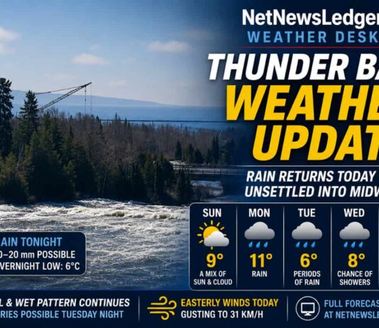 Thunder Bay Weather Update: Rain Returns After a Brief Taste of Spring Sunshine Thunder Bay Weather for May 17 2026