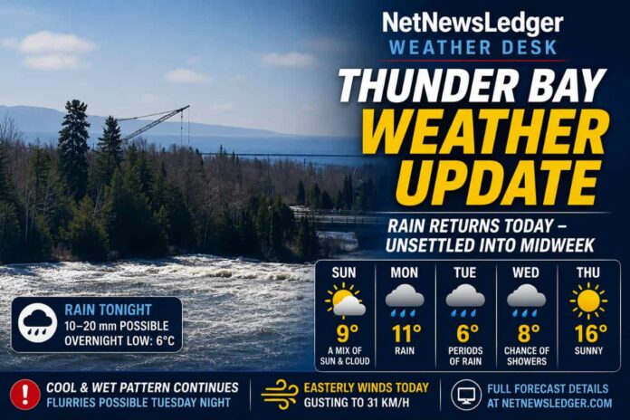 Thunder Bay Weather for May 17 2026