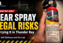 Bear spray may be legal for wildlife, but carrying it for city self-defence can lead to charges Bear spray may be legal for wildlife, but carrying it for city self-defence can lead to charges