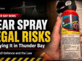 Bear spray may be legal for wildlife, but carrying it for city self-defence can lead to charges Bear spray may be legal for wildlife, but carrying it for city self-defence can lead to charges