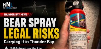 Bear spray may be legal for wildlife, but carrying it for city self-defence can lead to charges Bear spray may be legal for wildlife, but carrying it for city self-defence can lead to charges