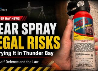 Bear spray may be legal for wildlife, but carrying it for city self-defence can lead to charges Bear spray may be legal for wildlife, but carrying it for city self-defence can lead to charges