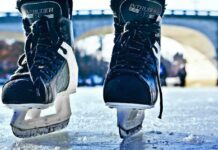 Ice, Data, and Dollars: The New Playbook for North American Hockey Fans ice hockey