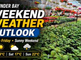 May 29, 2026: Thunder Bay Weekend Weather Focus — Warm Friday, Sunny and Cooler Saturday Thunder Bay weather for May 29, 2026: A warm Friday brings a high of 28°C, humidex 31, very high UV, and thunderstorm risk before a sunny, cooler weekend with highs of 17°C Saturday and 22°C Sunday