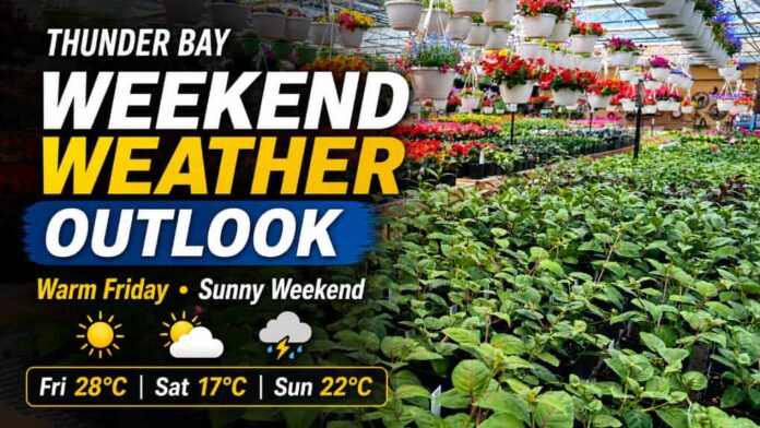 thunder Bay Weather May 29 2026 Thunder Bay weather for May 29, 2026: A warm Friday brings a high of 28°C, humidex 31, very high UV, and thunderstorm risk before a sunny, cooler weekend with highs of 17°C Saturday and 22°C Sunday