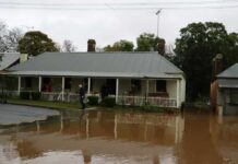 What to Do in the First 24 Hours After Your Basement Floods: A Step-By-Step Guide Dealing with Flooding in your home