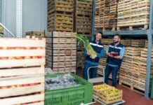 How GPO Partnerships Support Businesses Using Food Distributors in Canada How GPO Partnerships Support Canadian Food Services