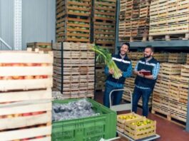 How GPO Partnerships Support Businesses Using Food Distributors in Canada How GPO Partnerships Support Canadian Food Services