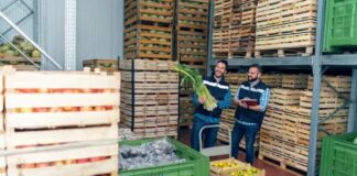 How GPO Partnerships Support Businesses Using Food Distributors in Canada How GPO Partnerships Support Canadian Food Services