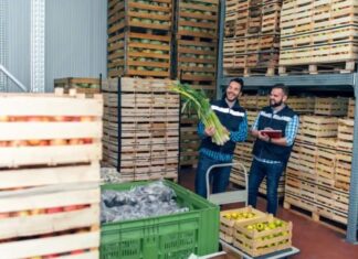 How GPO Partnerships Support Businesses Using Food Distributors in Canada How GPO Partnerships Support Canadian Food Services