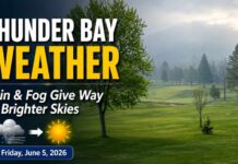June 5, 2026: Thunder Bay Weather Forecast — Rain and Fog Give Way to Clouds, Sun, and a Shower Risk June 5 2026 Thunder Bay Weather