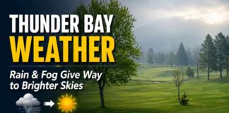 June 5, 2026: Thunder Bay Weather Forecast — Rain and Fog Give Way to Clouds, Sun, and a Shower Risk June 5 2026 Thunder Bay Weather