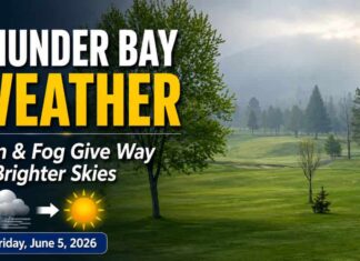 June 5, 2026: Thunder Bay Weather Forecast — Rain and Fog Give Way to Clouds, Sun, and a Shower Risk June 5 2026 Thunder Bay Weather