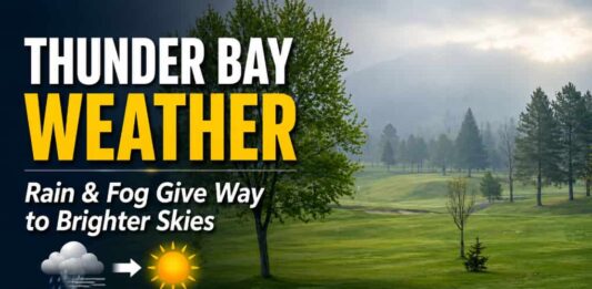 June 5, 2026: Thunder Bay Weather Forecast — Rain and Fog Give Way to Clouds, Sun, and a Shower Risk June 5 2026 Thunder Bay Weather