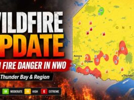 Wildfire danger rises across Northwestern Ontario as active fires increase in the region May 31 2026 Wildfire Update