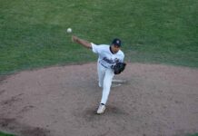 Border Cats fall 5-1 to Minnesota as Vincent Segovia shines in Thunder Bay debut Thunder Bay Border Cats vs Minnesota Mud Puppies