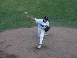Border Cats fall 5-1 to Minnesota as Vincent Segovia shines in Thunder Bay debut Thunder Bay Border Cats vs Minnesota Mud Puppies