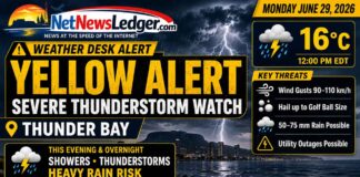 Weather Desk Alert: Yellow Severe Thunderstorm Watch Issued for Thunder Bay Thunder Bay weather alert for June 29, 2026: Yellow Severe Thunderstorm Watch in effect with possible 90–110 km/h winds, golf ball-sized hail