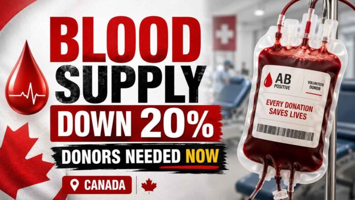 Blood Supply