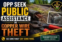 Kenora OPP seek tips after copper wire theft damages lines near Transmitter Road Kenora OPP seek tips after copper wire theft damages lines near Transmitter Road