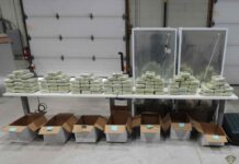 Project Bay Seizes Nearly 1.7 Tonnes of Drugs and 17 Firearms in Ontario Operation Path Seized Cocaine