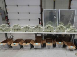 Project Bay Seizes Nearly 1.7 Tonnes of Drugs and 17 Firearms in Ontario Operation Path Seized Cocaine