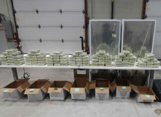 Project Bay Seizes Nearly 1.7 Tonnes of Drugs and 17 Firearms in Ontario Operation Path Seized Cocaine