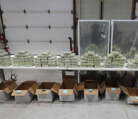 Project Bay Seizes Nearly 1.7 Tonnes of Drugs and 17 Firearms in Ontario Operation Path Seized Cocaine