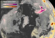 Copernicus Reports Lowest First-Half Global Biomass Burning Emissions Since 2003 Global emissions from biomass burning during the first half of 2026 were the lowest recorded for the period in the 24-year Copernicus Atmosphere Monitoring Service fire-emissions dataset
