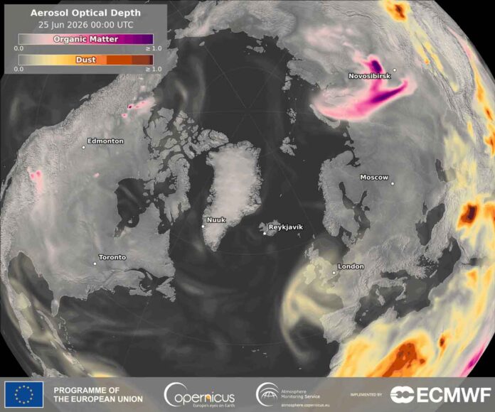 Global emissions from biomass burning during the first half of 2026 were the lowest recorded for the period in the 24-year Copernicus Atmosphere Monitoring Service fire-emissions dataset Global emissions from biomass burning during the first half of 2026 were the lowest recorded for the period in the 24-year Copernicus Atmosphere Monitoring Service fire-emissions dataset