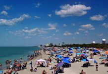 How to Build the Perfect Beach Day Setup Nothing beats enjoying fresh sea breezes and building sandcastles at the beach