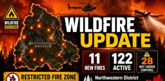 Northwestern District Wildland Fire Update: 11 New Fires Confirmed, 122 Active Across the Region Wildland Fire Update Northwest District July 29 2026