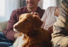 Creating a Safer, Healthier Home for Your Family and Pets Keeping a home and yard genuinely safe and enjoyable for the whole family often comes down to addressing a handful of situations