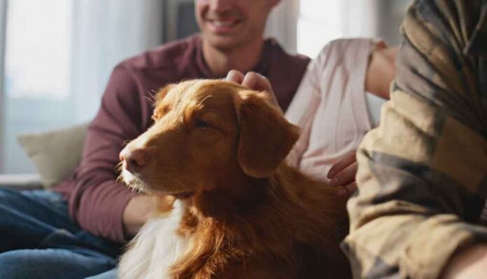 Keeping a home and yard genuinely safe and enjoyable for the whole family often comes down to addressing a handful of situations Keeping a home and yard genuinely safe and enjoyable for the whole family often comes down to addressing a handful of situations