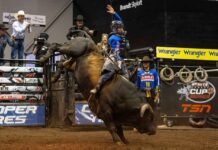 Coy Robbins Sweeps Grande Prairie for First PBR Canada Cup Series Victory Coy Robbins rode both bulls to win his first PBR Canada Cup Series event in Grande Prairie, while Nick Tetz strengthened his national championship lead