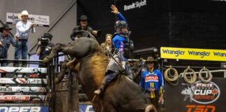 Coy Robbins Sweeps Grande Prairie for First PBR Canada Cup Series Victory Coy Robbins rode both bulls to win his first PBR Canada Cup Series event in Grande Prairie, while Nick Tetz strengthened his national championship lead