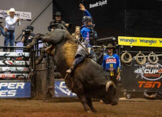 Coy Robbins Sweeps Grande Prairie for First PBR Canada Cup Series Victory Coy Robbins rode both bulls to win his first PBR Canada Cup Series event in Grande Prairie, while Nick Tetz strengthened his national championship lead