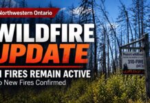 Northwestern Ontario Wildfire Update: No New Fires Confirmed, 31 Remain Active Wildfire update September 18 2026