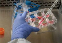 P21: A Speculative Lens on Neuroregulatory Signaling and Molecular Plasticity P21 Peptides