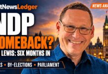 Avi Lewis’s NDP shows uneven gains. Do polls, by-elections and his delay seeking a seat signal trouble? Avi Lewis’s NDP shows uneven gains. Do polls, by-elections and his delay seeking a seat signal trouble?