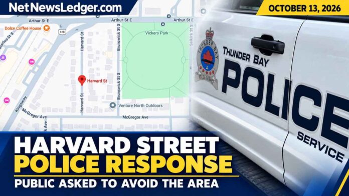 Thunder Bay police ask the public to avoid the 300 block of Harvard Street during an ongoing response
