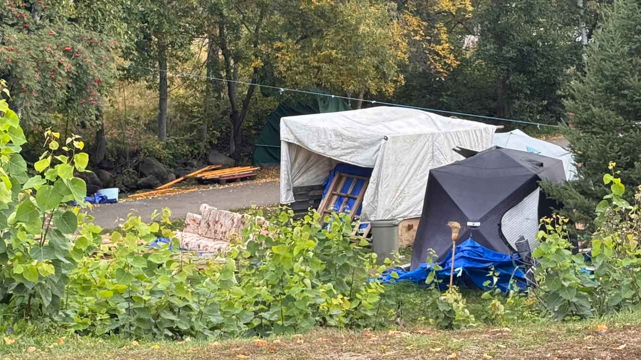 Homeless encampment on McVicars Creek - Structures going up despite not being an approved site