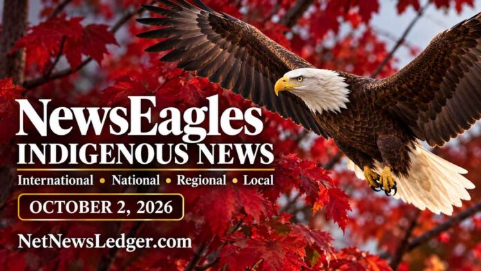 NetNewsLedger-News-Autumn-eagle-Indigenous-news-briefing NewsEagles October 2: Indigenous rights, Webequie road, land returns and Thunder Bay community safety