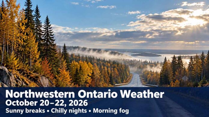 Reduce speed in fog and leave extra space behind other vehicles Reduce speed in fog and leave extra space behind other vehicles